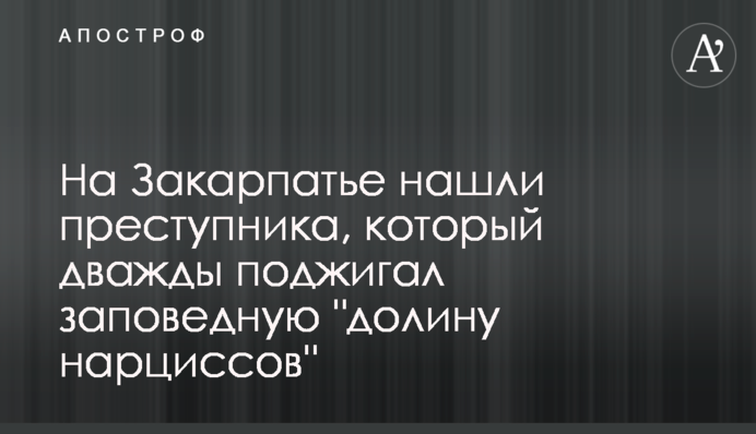 На Закарпатье нашли преступника, который дважды поджигал заповедную 