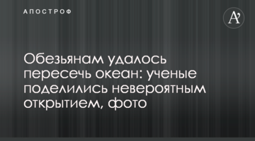 Мавпам вдалося перетнути океан: вчені поділилися неймовірним відкриттям, фото
