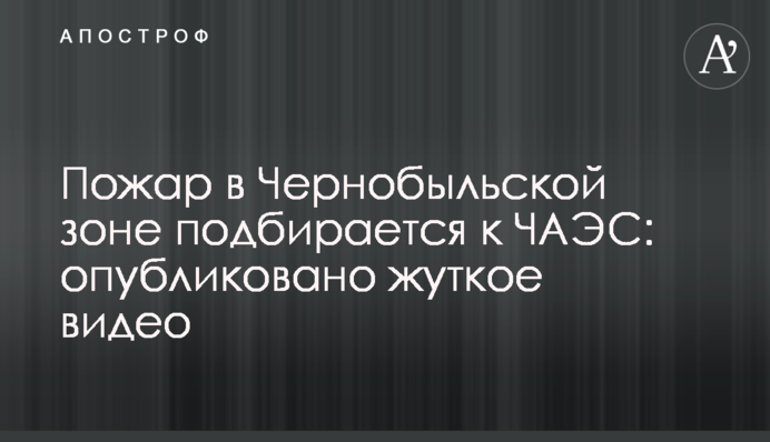 Пожежа в Чорнобильській зоні підбирається до ЧАЕС: опубліковано моторошне відео