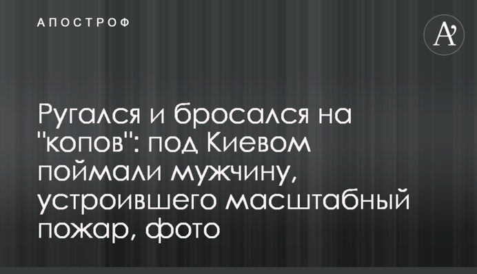 Лаявся і кидався на 