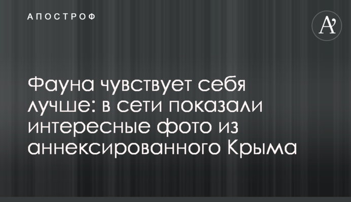 Фауна чувствует себя лучше: в сети показали интересные фото из аннексированного Крыма