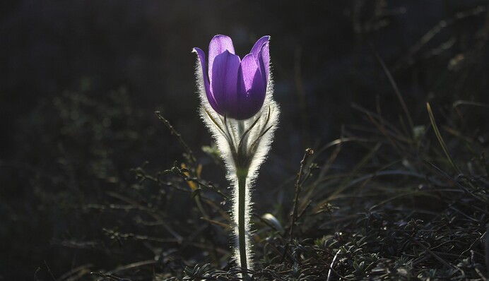 Погрелись и хватит: синоптик предупредила украинцев о серьезном похолодании