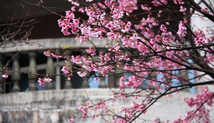 Ударит серьезное похолодание: синоптики дали детальный прогноз на 14 апреля