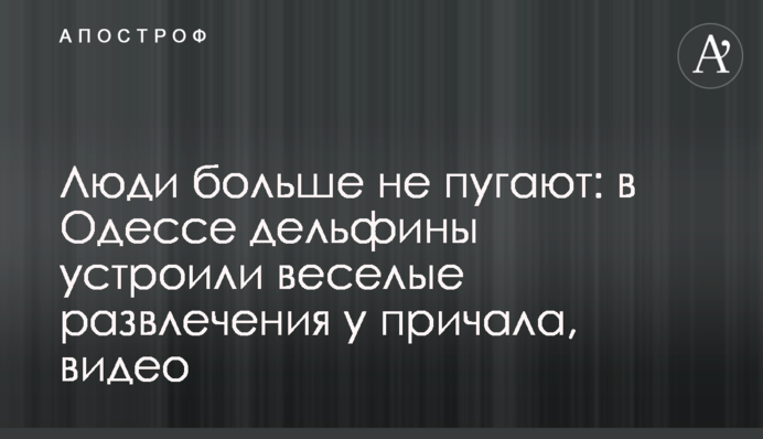 Люди больше не пугают: в Одессе дельфины устроили веселые развлечения у причала, видео