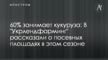 60% занимает кукуруза: в "Укрлендфарминг" рассказали о посевных площадях в этом сезоне
