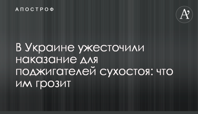 В Україні посилили покарання для паліїв сухостою: що їм загрожує