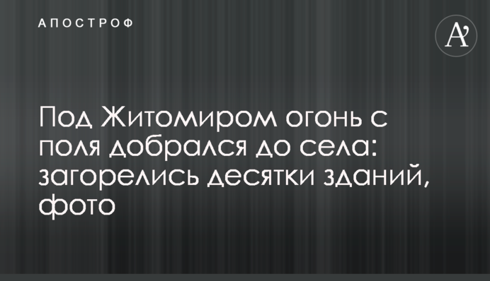 Под Житомиром огонь с поля добрался до села: загорелись десятки зданий, фото