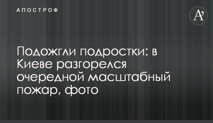 ​Підпалили підлітки: в Києві розгорілася чергова масштабна пожежа, фото