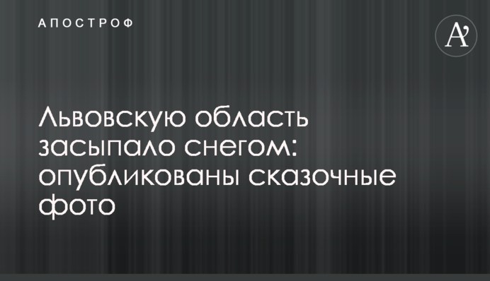 Львівську область засипало снігом: опубліковано казкові фото