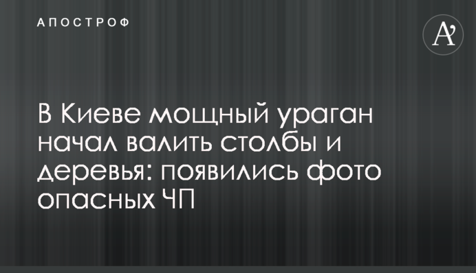 В Киеве мощный ураган начал валить столбы и деревья: появились фото опасных ЧП