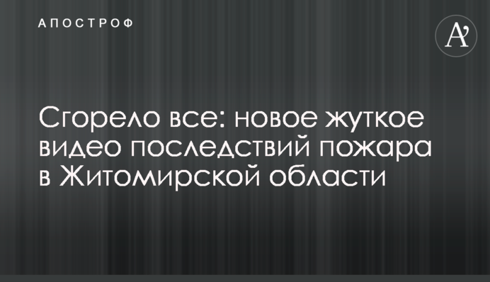 Згоріло все: нове моторошне відео наслідків пожежі в Житомирській області