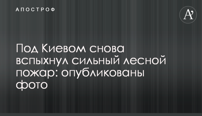 Под Киевом снова вспыхнул сильный лесной пожар: опубликованы фото