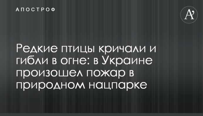 Редкие птицы кричали и гибли в огне: в Украине произошел пожар в природном нацпарке