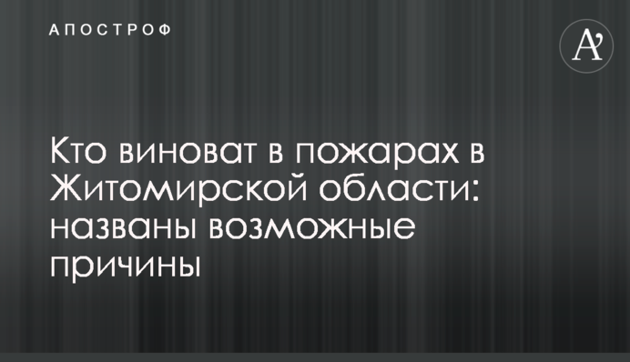 Кто виноват в пожарах в Житомирской области: названы возможные причины