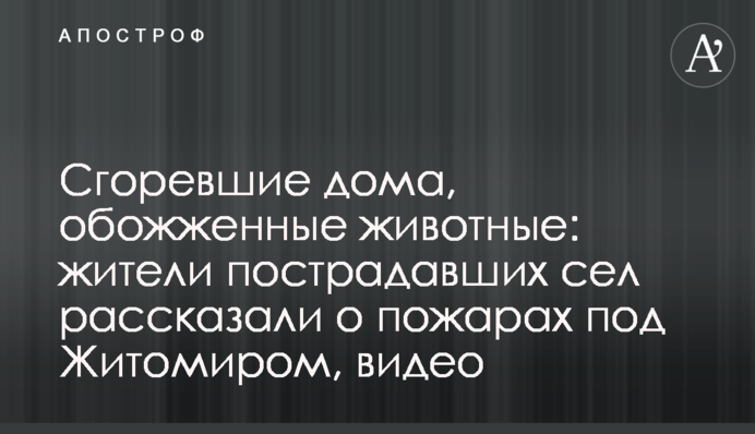 Згорілі будинки, обпалені тварини: жителі постраждалих сіл розповіли про пожежі під Житомиром, відео