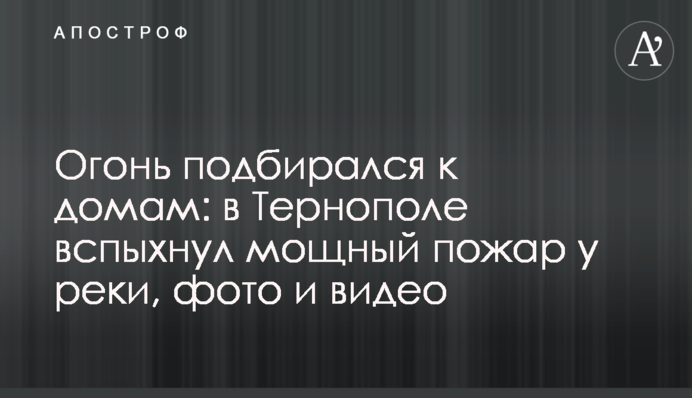 Вогонь підбирався до будинків: в Тернополі спалахнула потужна пожежа біля річки, фото і відео