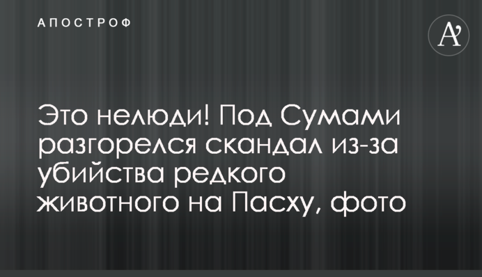 Це нелюди! Під Сумами розгорівся скандал через вбивство рідкісної тварини на Великдень, фото