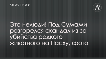 Это нелюди! Под Сумами разгорелся скандал из-за убийства редкого животного  на Пасху, фото