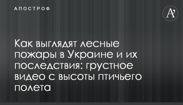 Как выглядят лесные пожары в Украине и их последствия: грустное видео с высоты птичьего полета