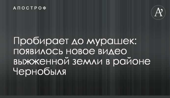 Пробирает до мурашек: появилось новое видео выжженной земли в районе Чернобыля