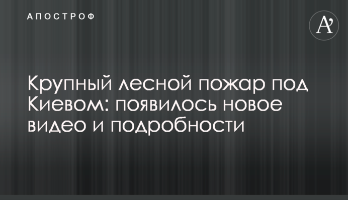 Крупный лесной пожар под Киевом: появилось новое видео и подробности