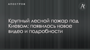 Велика лісова пожежа під Києвом: з'явилося нове відео і подробиці