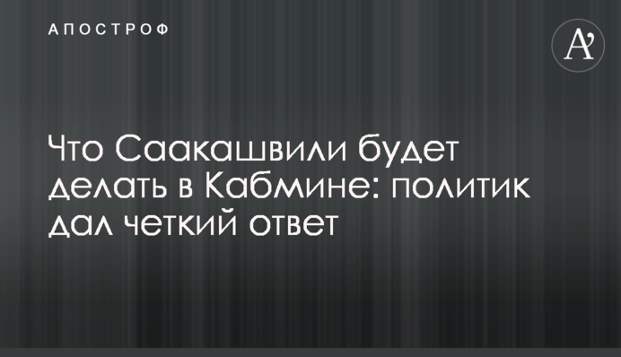 Что Саакашвили будет делать в Кабмине: политик дал четкий ответ