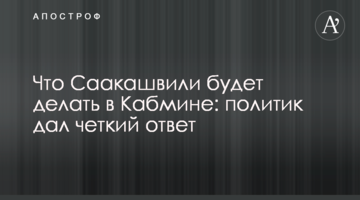Що Саакашвілі робитиме в Кабміні: політик дав чітку відповідь