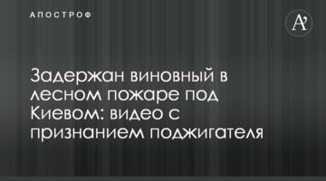 Затримано винуватця лісової пожежі під Києвом: відео із зізнанням палія