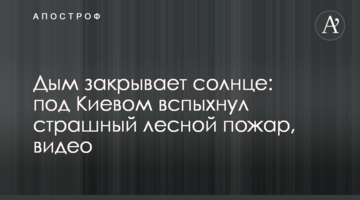 Дим закриває сонце: під Києвом спалахнула страшна лісова пожежа, відео