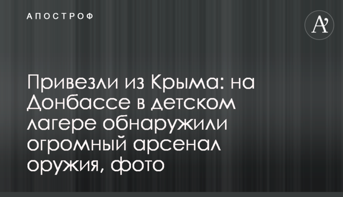 Привезли из Крыма: на Донбассе в детском лагере обнаружили огромный арсенал оружия, фото