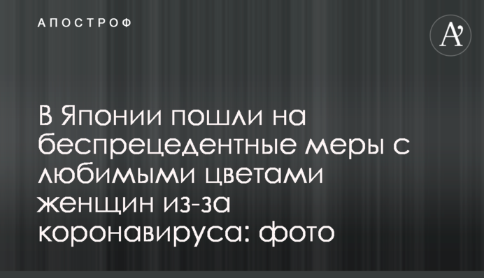 В Японії пішли на безпрецедентні заходи з улюбленими квітами жінок через коронавірус: фото