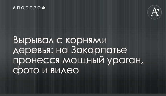 Виривав з корінням дерева: на Закарпатті пронісся потужний ураган, фото і відео