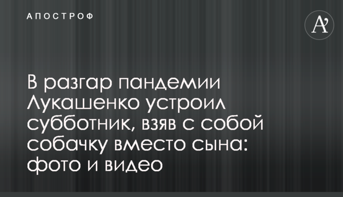 У розпал пандемії Лукашенко влаштував суботник, взявши з собою собачку замість сина: фото і відео