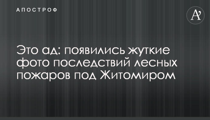 Це пекло: з'явилися моторошні фото наслідків лісових пожеж під Житомиром