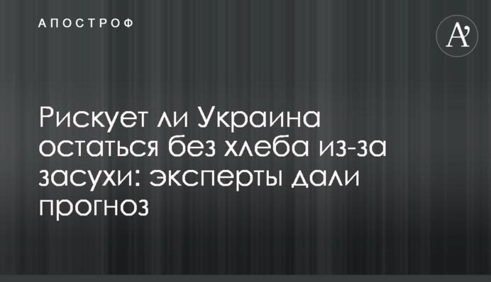 Рискует ли Украина остаться без хлеба из-за засухи: эксперты дали прогноз