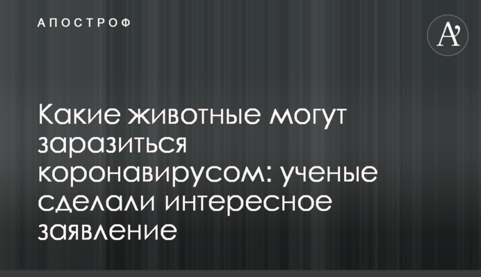 Какие животные могут заразиться коронавирусом: ученые сделали интересное заявление