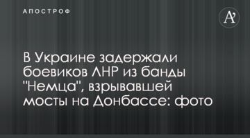 В Украине задержали боевиков ЛНР из банды "Немца", взрывавшей мосты на Донбассе: фото
