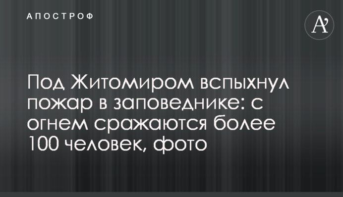 Під Житомиром спалахнула пожежа в заповіднику: з вогнем борються понад 100 осіб, фото