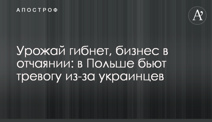 Урожай гибнет, бизнес в отчаянии: в Польше бьют тревогу из-за украинцев