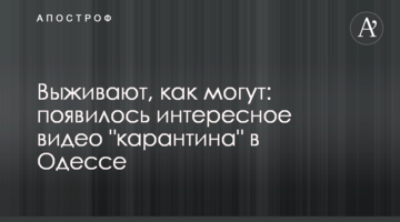Виживають, як можуть: з'явилося цікаве відео "карантину" в Одесі