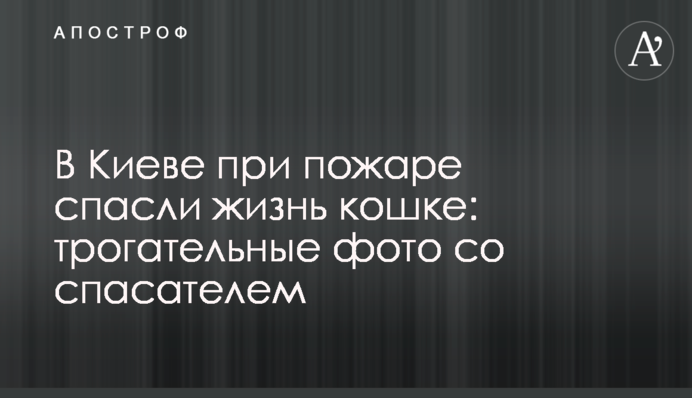 В Киеве при пожаре спасли жизнь кошке: трогательные фото со спасателем
