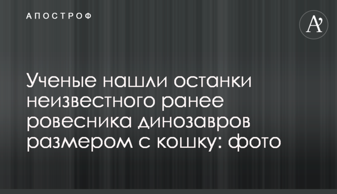 Ученые нашли останки неизвестного ранее ровесника динозавров размером с кошку: фото
