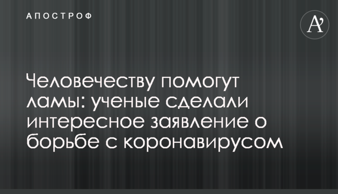 Людству допоможуть лами: вчені зробили цікаву заяву про боротьбу з коронавірусом