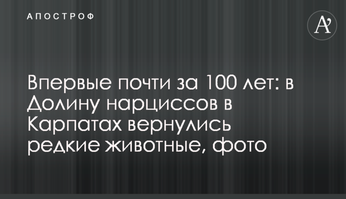 Впервые почти за 100 лет: в Долину нарциссов в Карпатах вернулись редкие животные, фото
