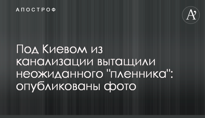 Під Києвом з каналізації витягли несподіваного 