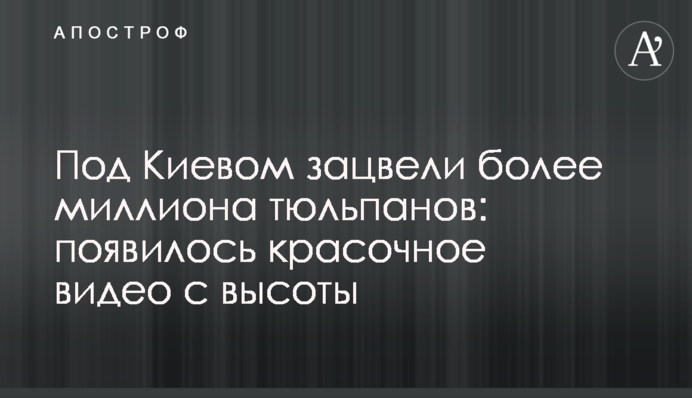 Под Киевом зацвели более миллиона тюльпанов: появилось красочное видео с высоты
