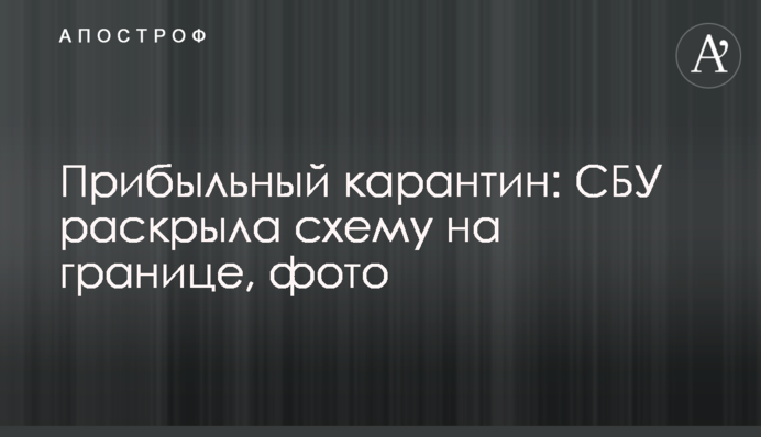 Прибутковий карантин: СБУ розкрила схему на кордоні, фото