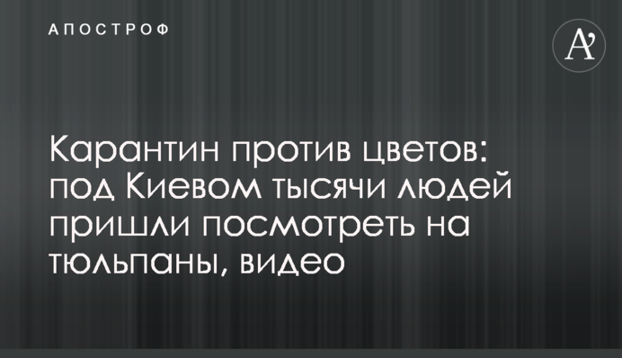 Карантин проти квітів: під Києвом тисячі людей прийшли подивитися на тюльпани, відео
