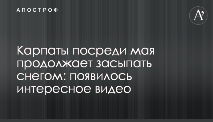 Карпати в середині травня продовжує засипати снігом: з'явилося цікаве відео